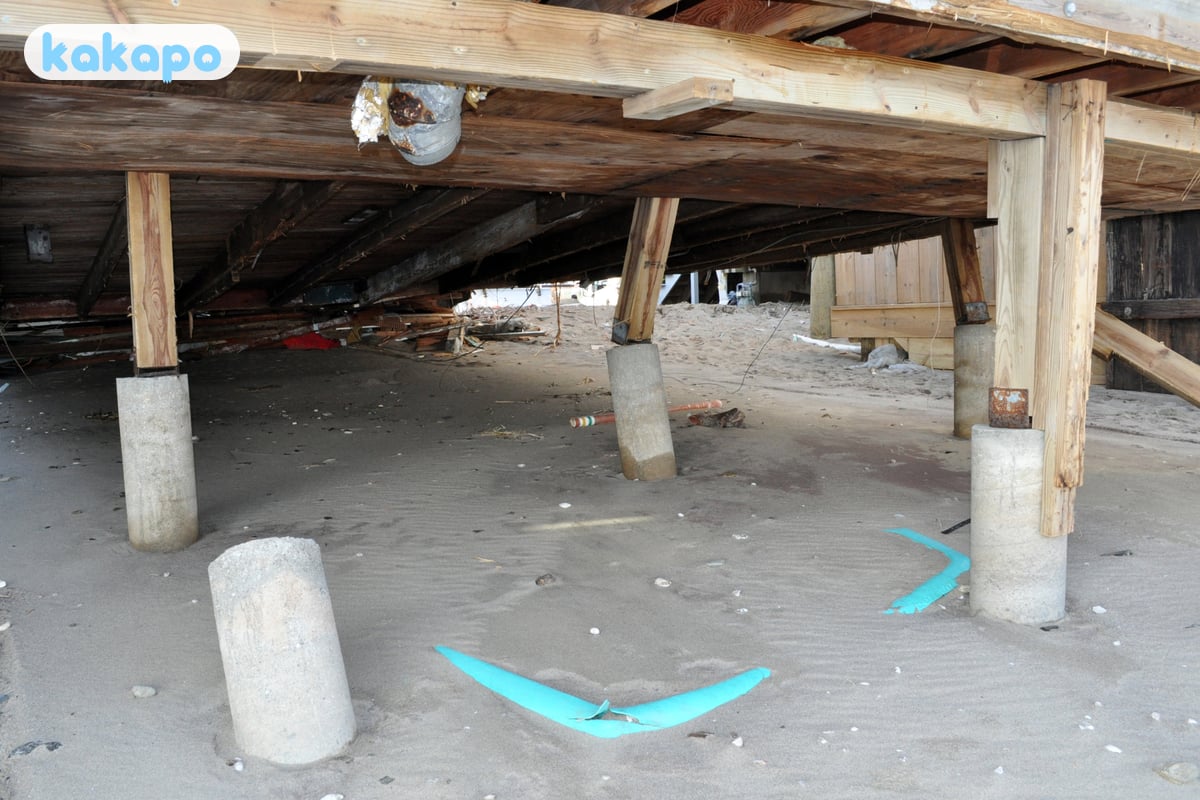Spiagge + cose da fare in Fairfield, Stati Uniti — Guida sicurezza viaggi Kakapo