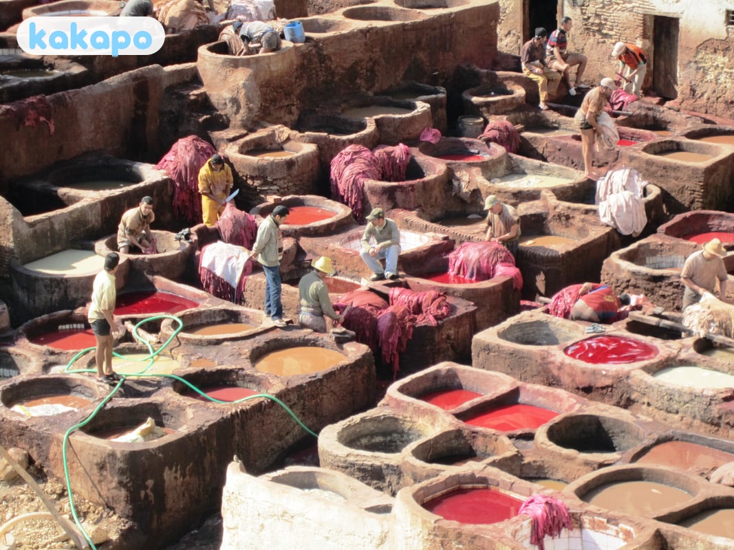 エリア — Fes el Bali, Fes el Jdid, Ville Nouvelle in Fez, Morocco — Kakapo旅行安全ガイド