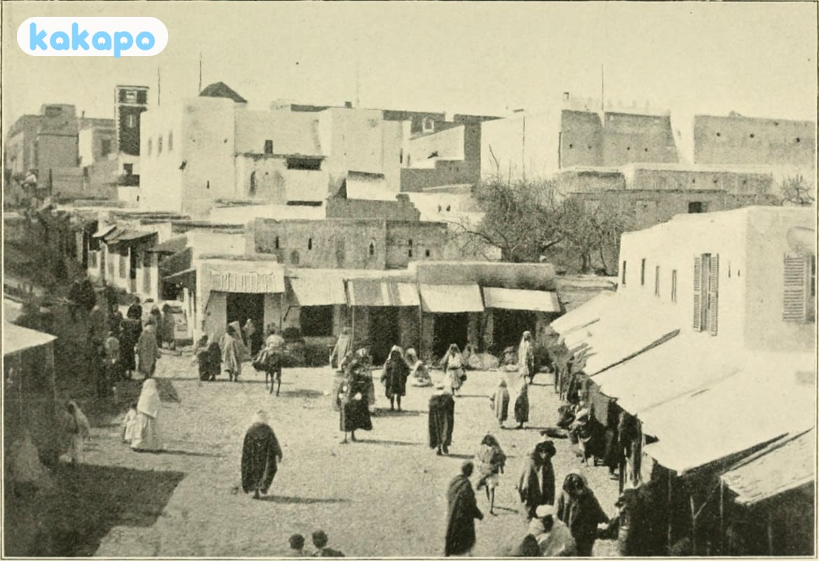 その他の詐欺と観光客の困りごと in Fez, Morocco — Kakapo旅行安全ガイド