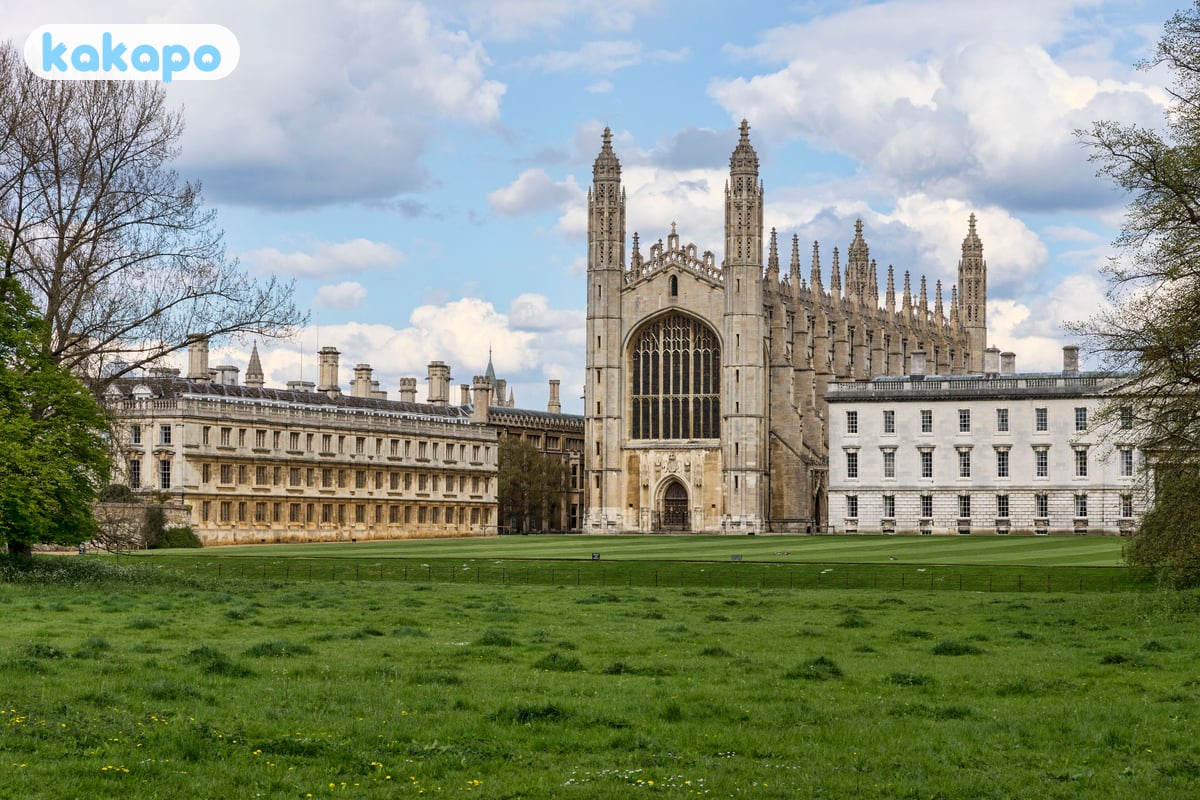 Golpes + o padrão de aliciadores em King's Parade in Cambridge, Reino Unido — Guia de segurança de viagem Kakapo