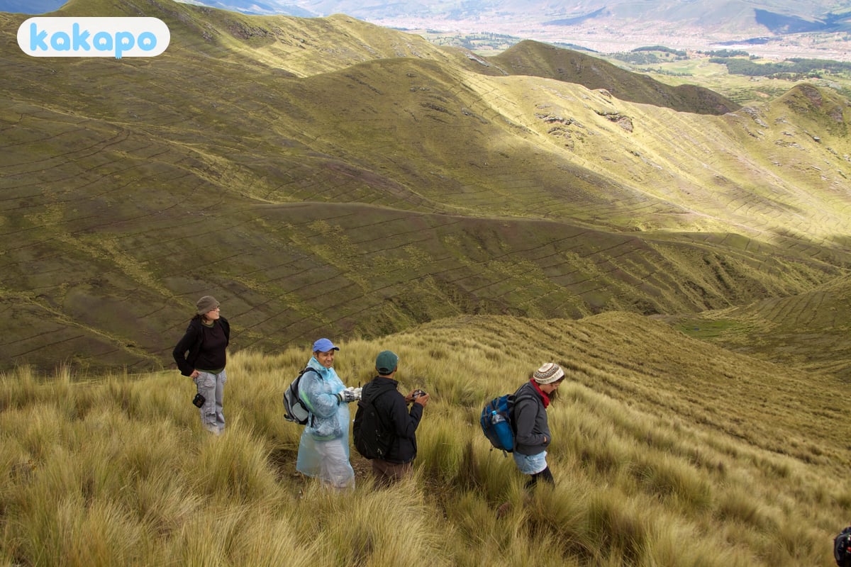 Áreas — Cusco é seguro e acolhedor in Cusco, Peru — Guia de segurança de viagem Kakapo