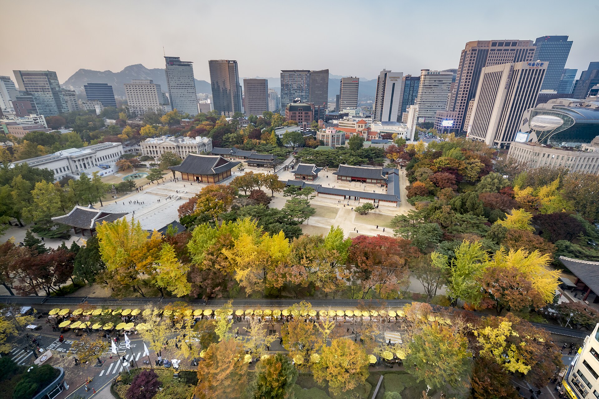 Seoul — Kakapo travel safety update