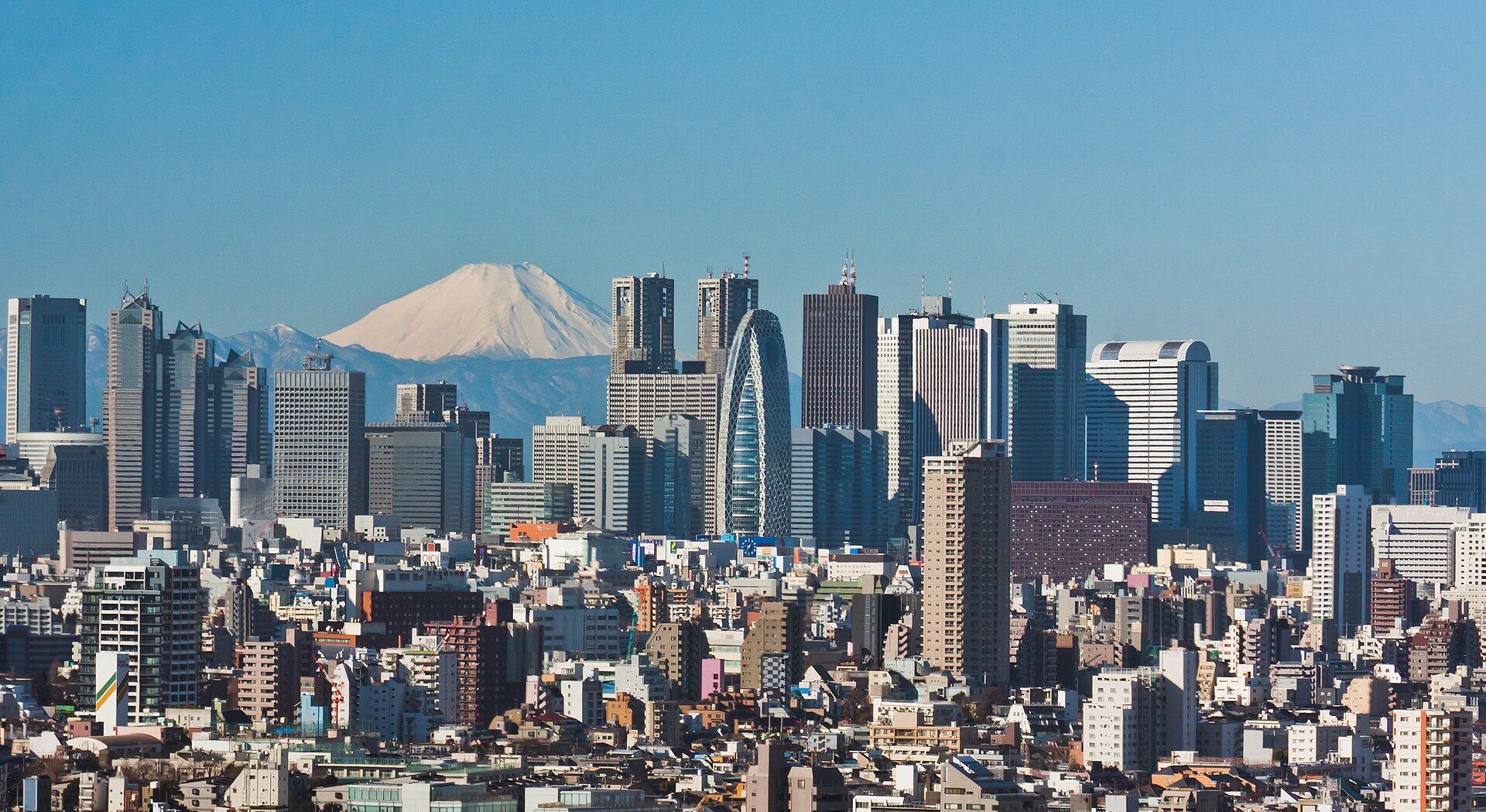 Tokyo — Kakapo travel safety update